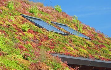 Ballyward living roof systems